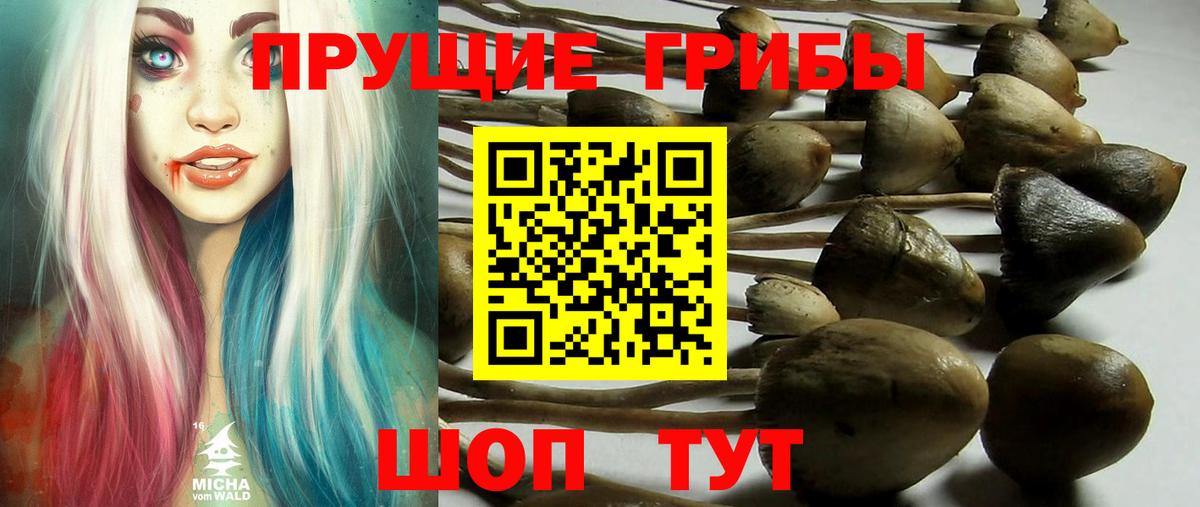 Псилоцибиновые грибы мухоморы Ликино-Дулёво